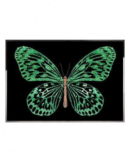 Visionnaire Greenbutterfly