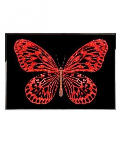 Visionnaire Redbutterfly